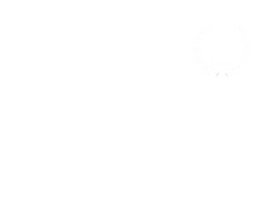 Wolfson Bolton Kochis 15th Anniversary Logo